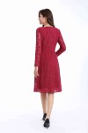 Long Sleeve Lace Dress Long Sleeve Lace Dress