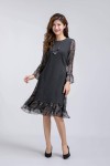 Chiffon Sleeved Dress Chiffon Sleeved Dress