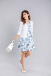 V-Neck Sleeveless Dress V-Neck Sleeveless Dress