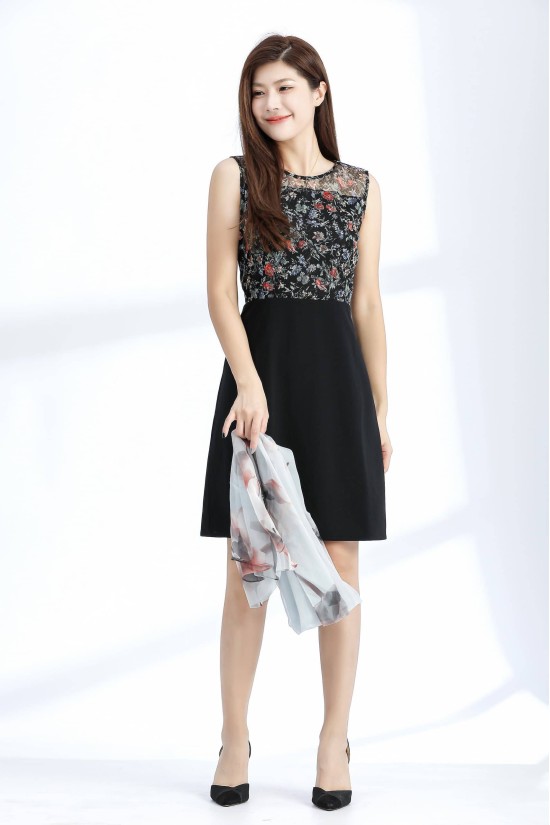 Printed Mesh Dress Printed Mesh Dress