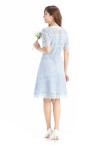 Short Sleeve Lace Dress